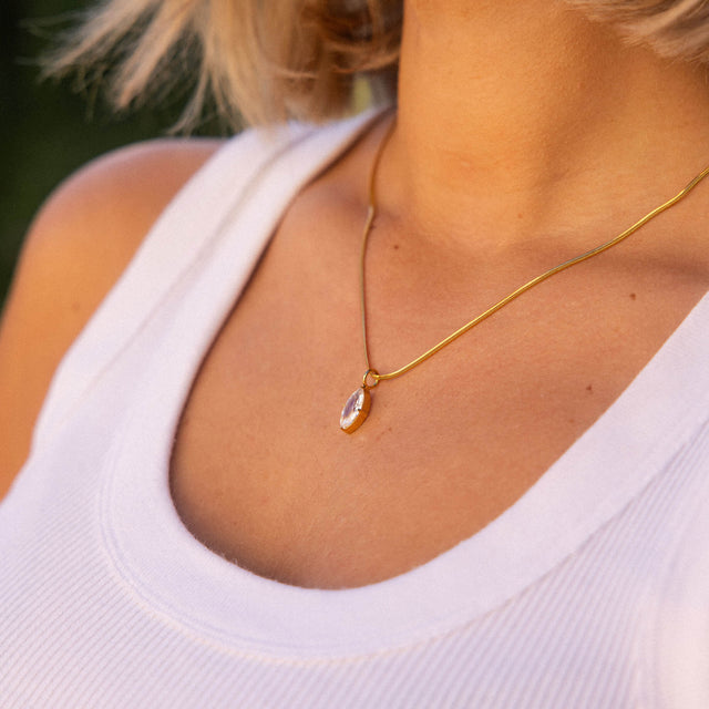 Glossy Bedel