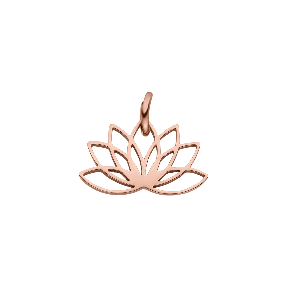 Lotus Bedel