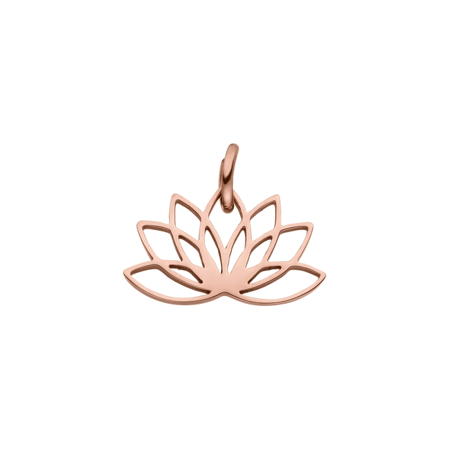 Lotus Bedel