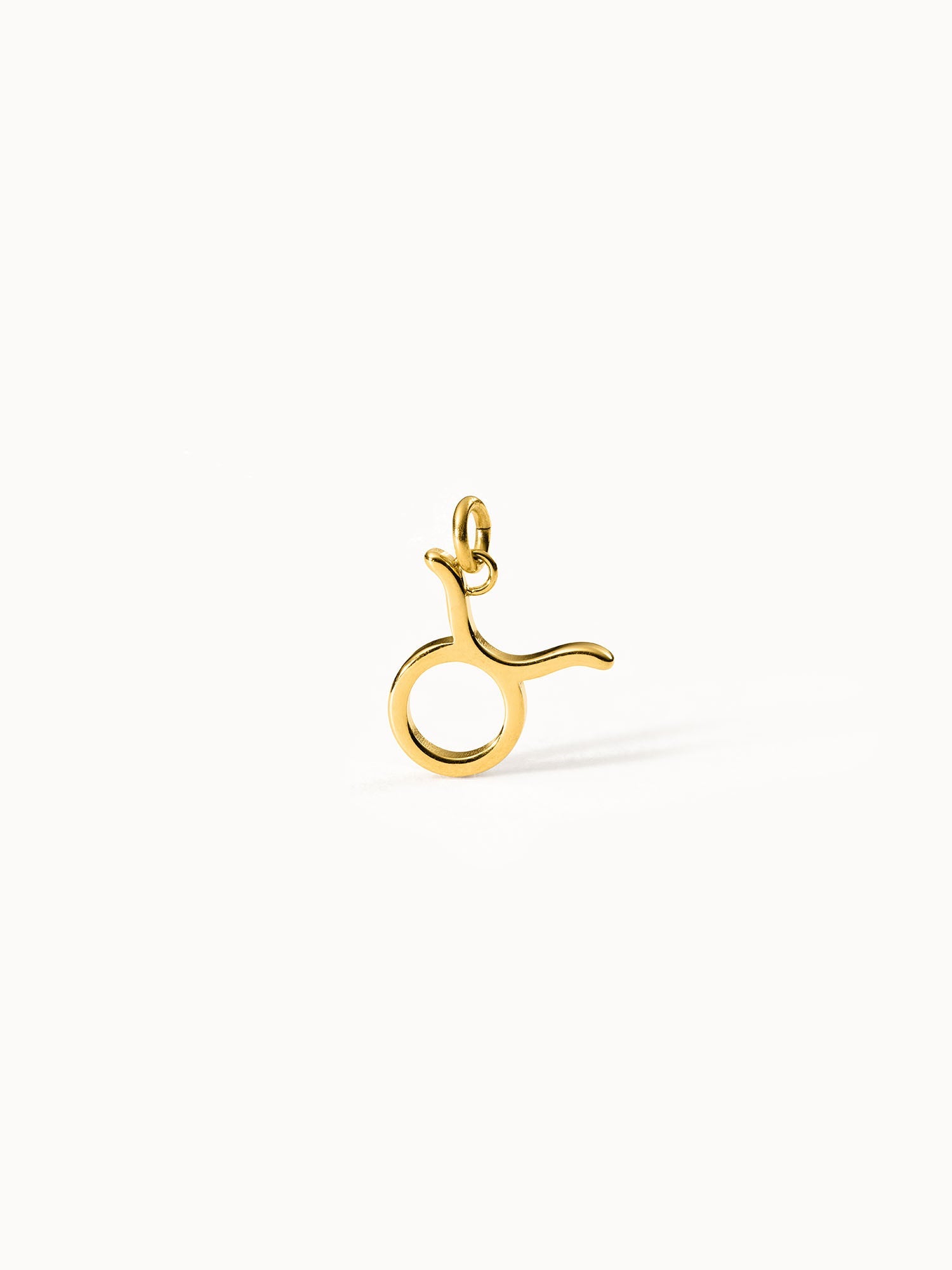 Taurus Zodiac Charm