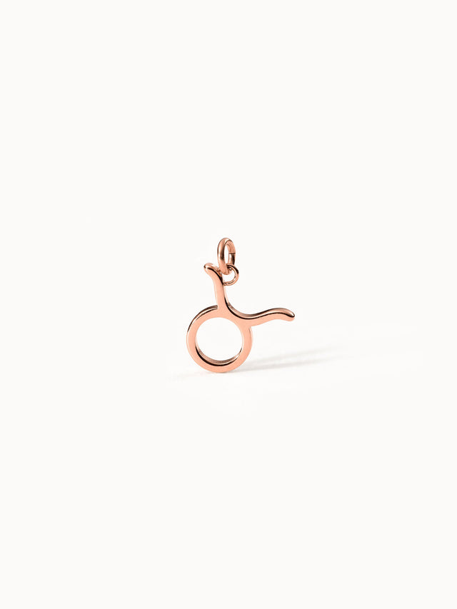 Taurus Zodiac Charm