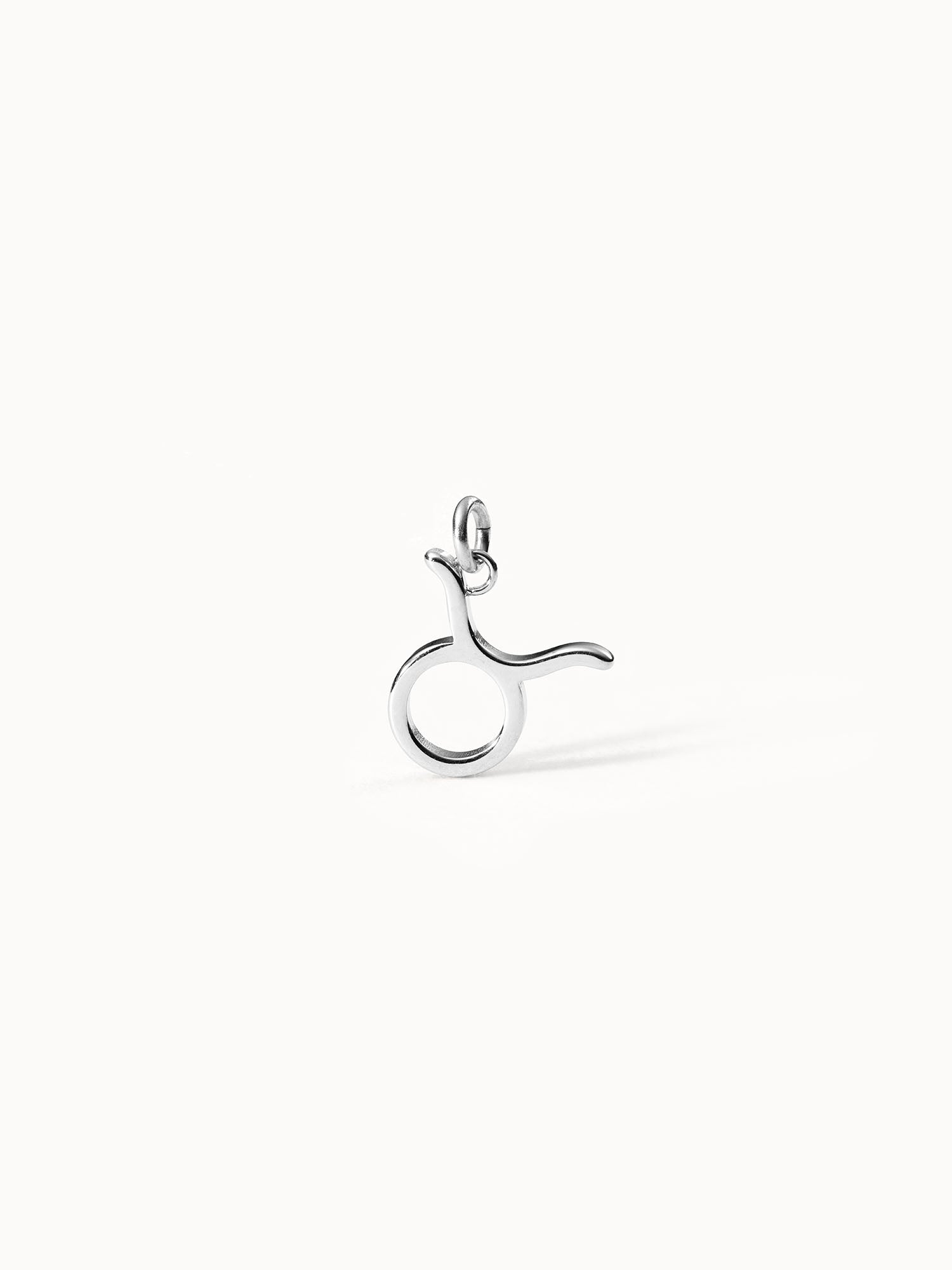 Taurus Zodiac Charm