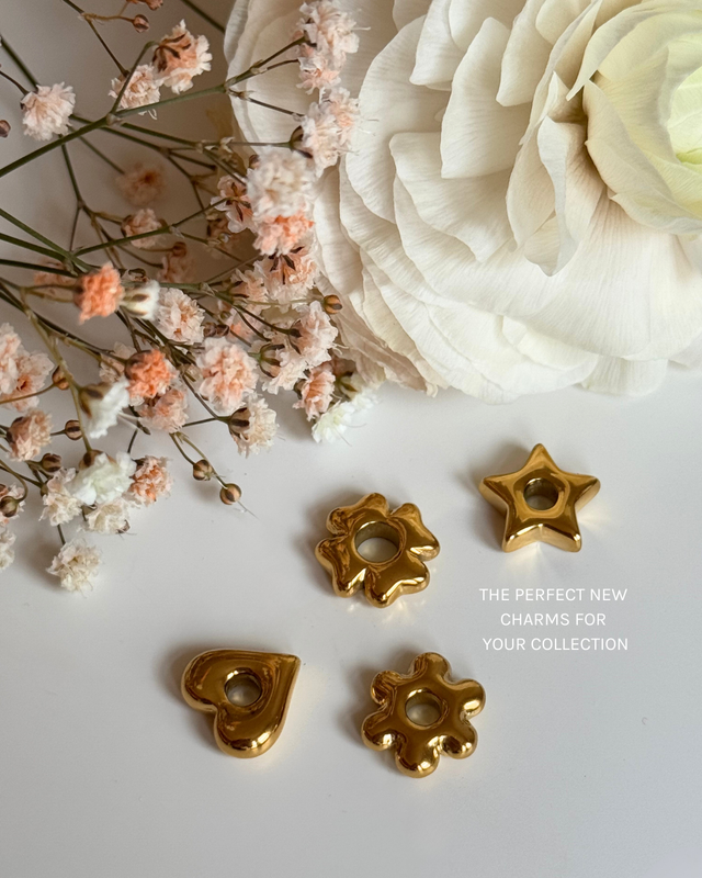 Lucky Charm Ketting