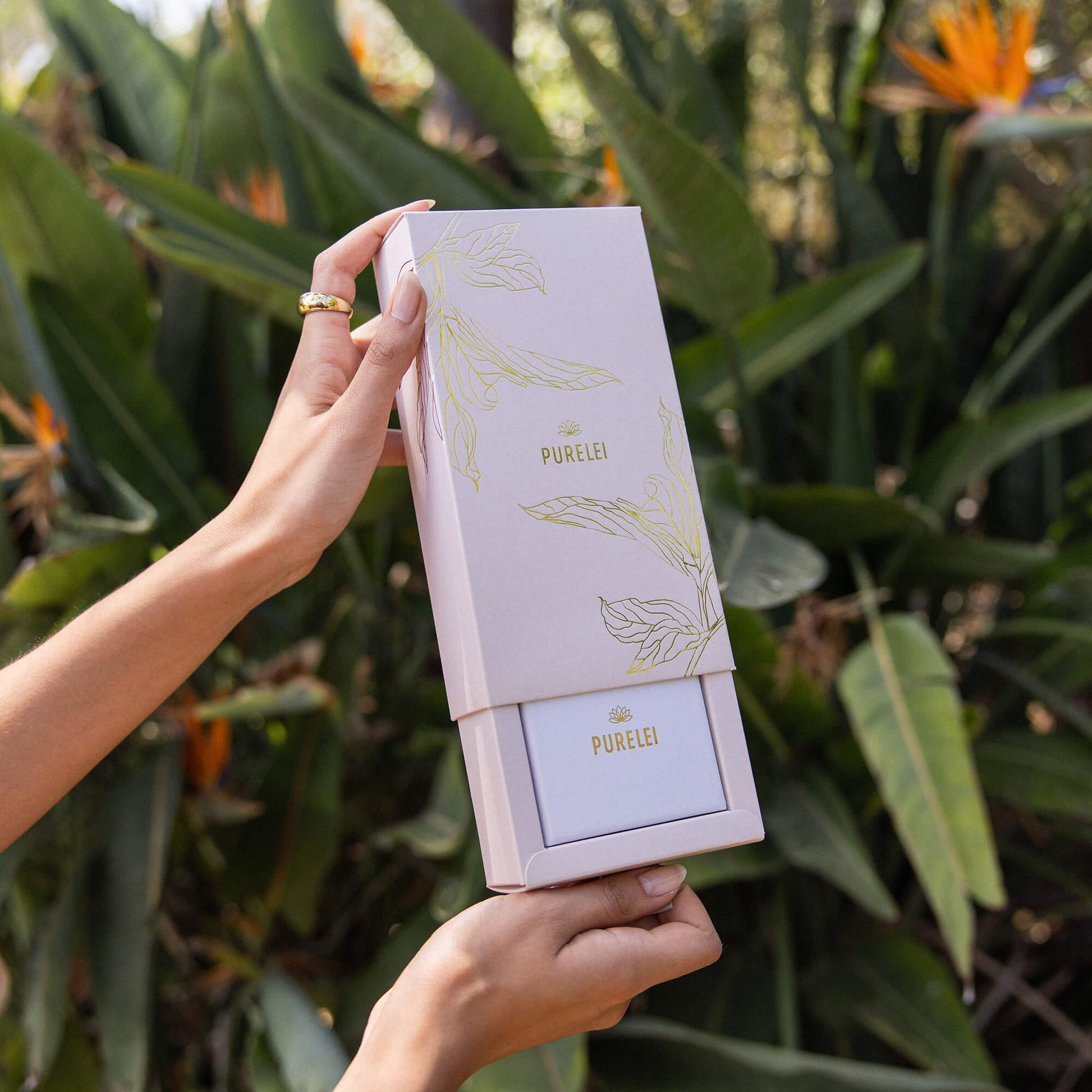 Elegante PURELEI Geschenkverpackung mit goldenen Blättern, umgeben von tropischer Vegetation.