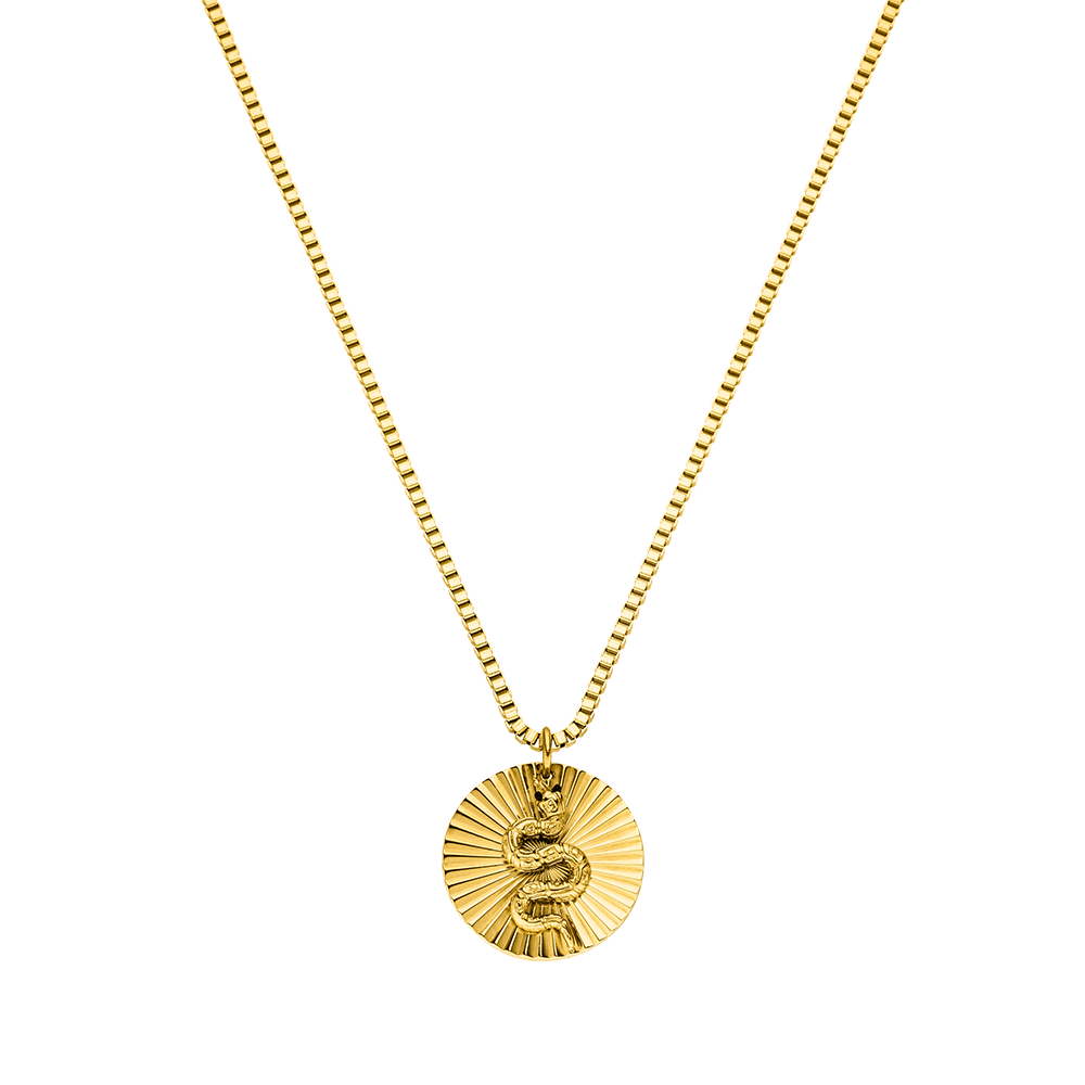 Snake Coin Ketting