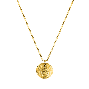 Snake Coin Necklace