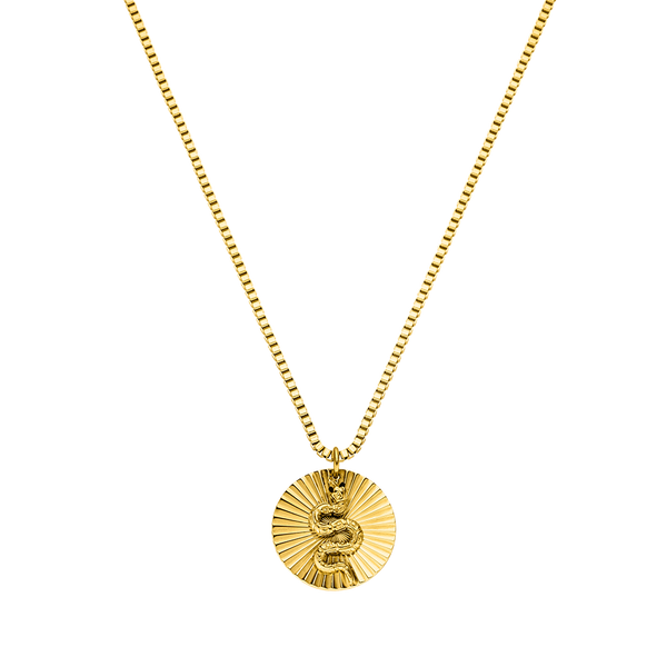 Snake Coin Necklace