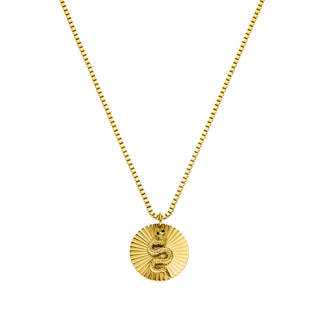 Snake Coin Ketting
