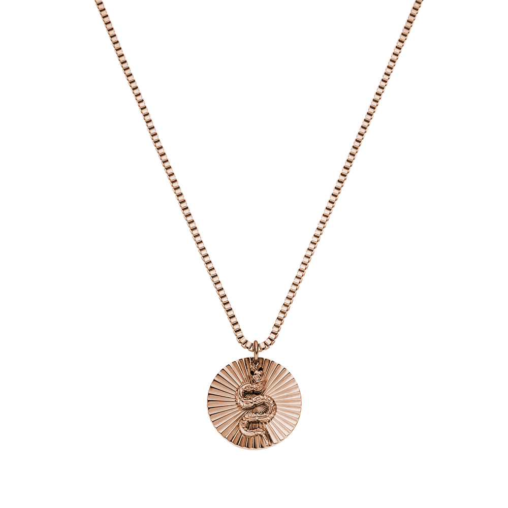 Snake Coin Ketting