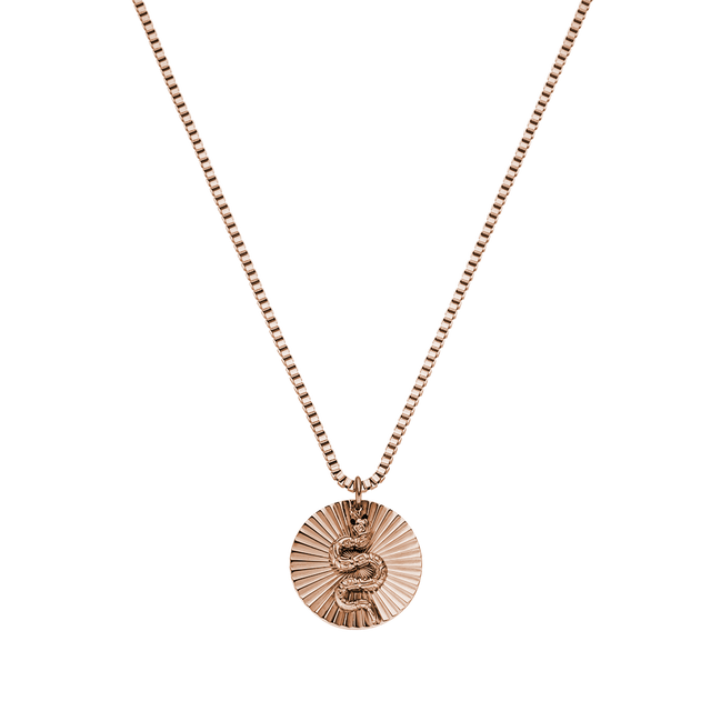 Snake Coin Ketting