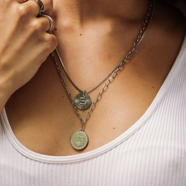 Snake Coin Ketting