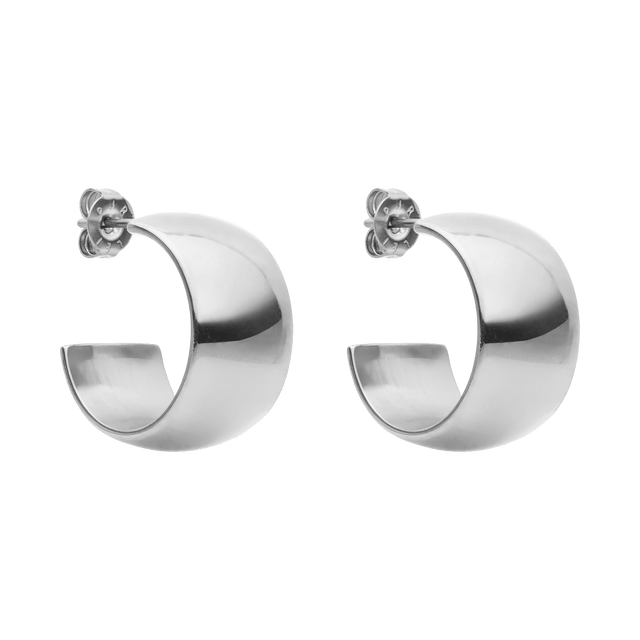 Bold Earring