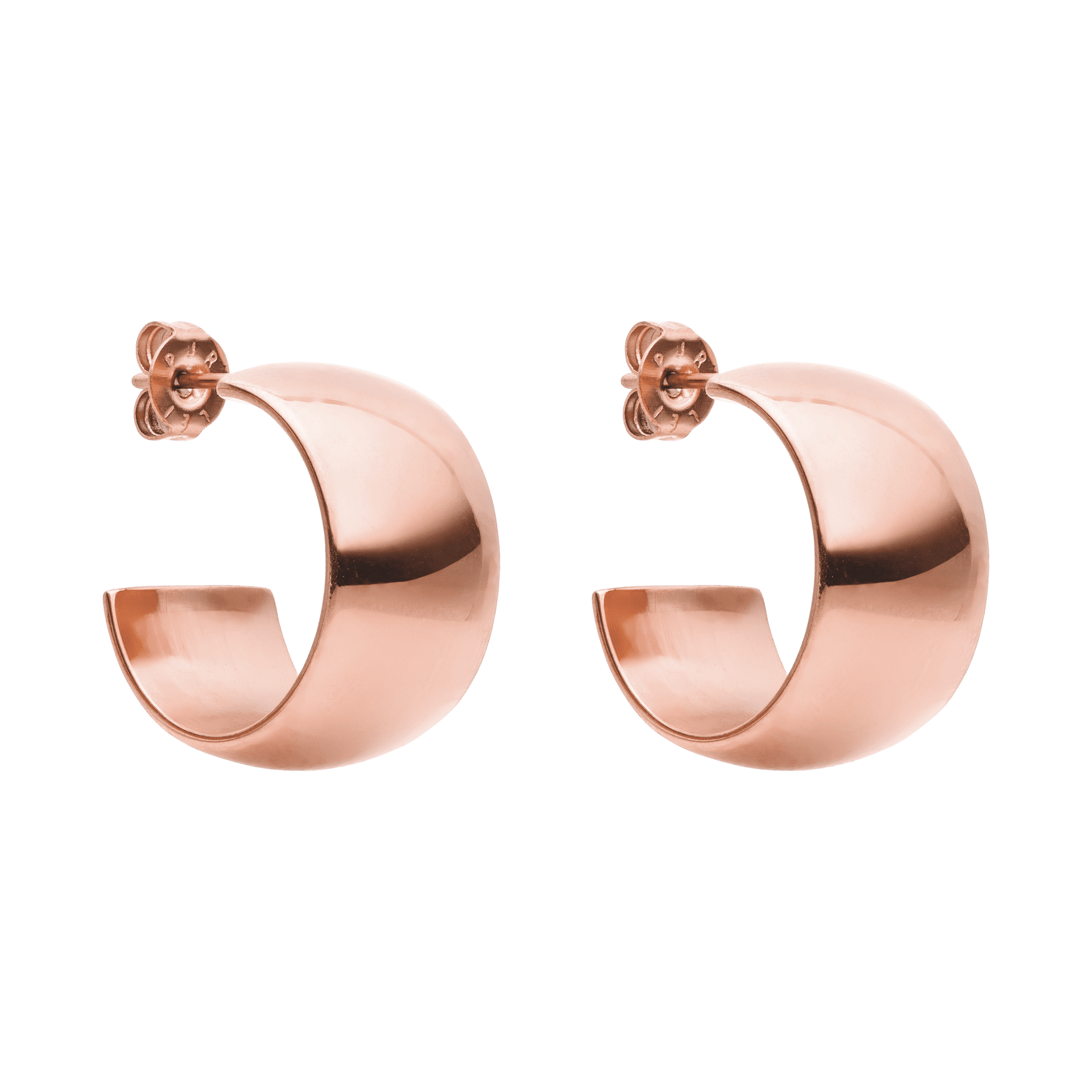 Bold Earring
