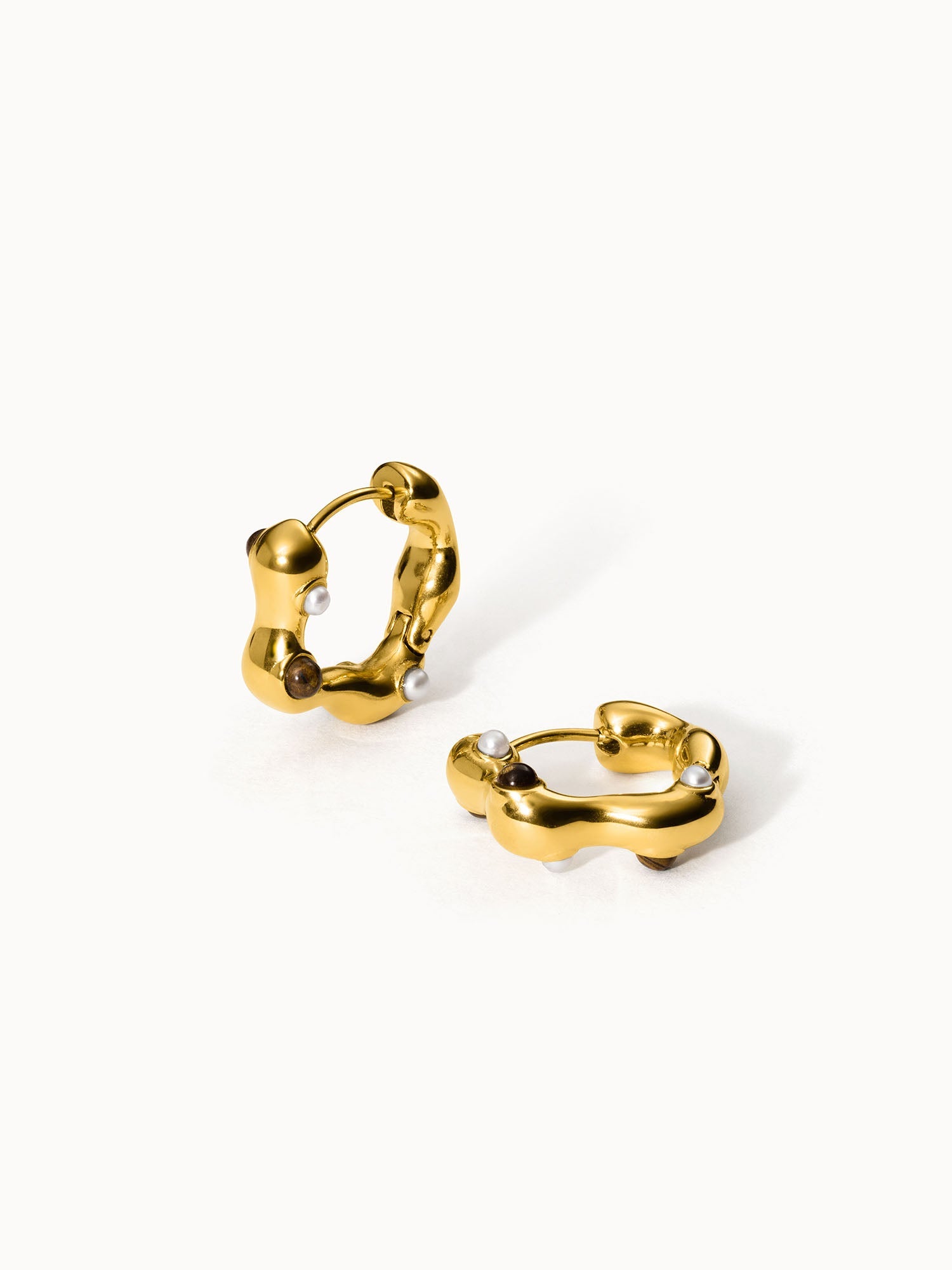 Golden Gaze Earring