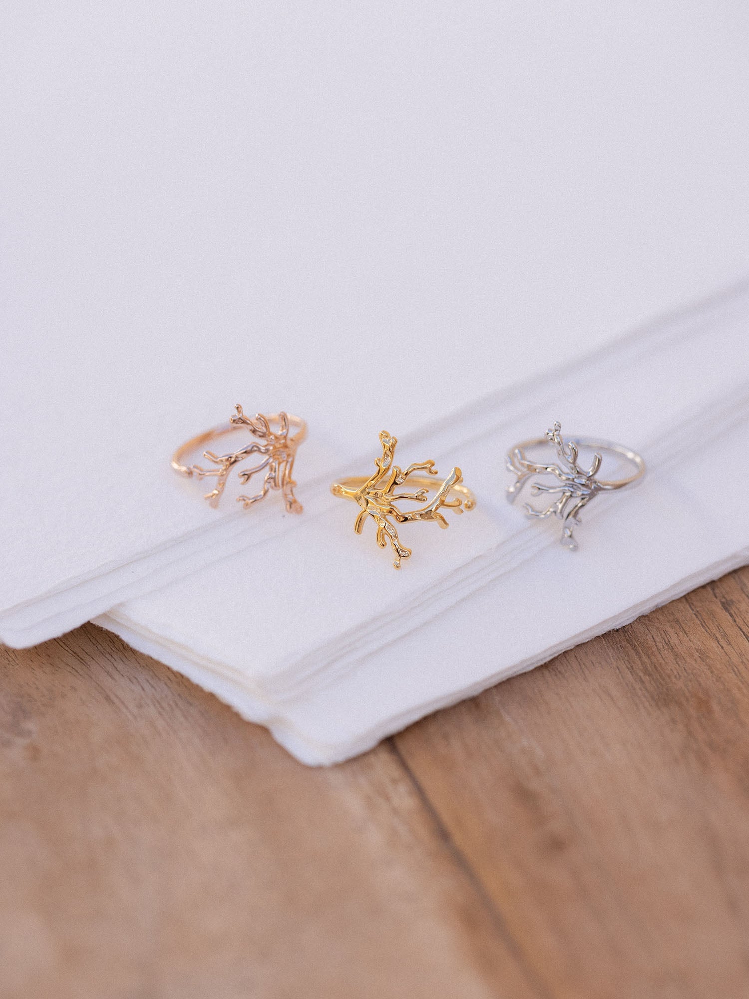 Drei PURELEI Coral Cove Ringe in Gold, Roségold und Silber mit Korallendesign auf hellem Stoff, elegant und feminin.