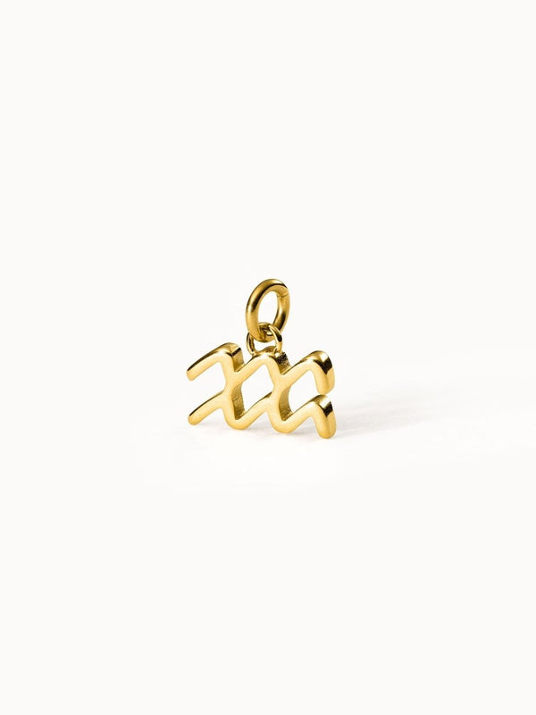 Aquarius Zodiac Charm - INT PURELEI