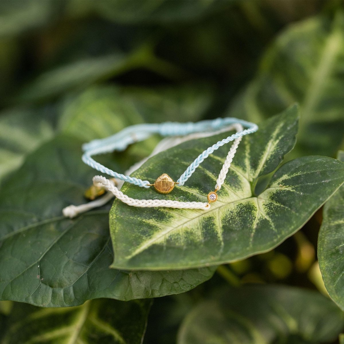 Blue Ocean Bracelet Set - INT PURELEI
