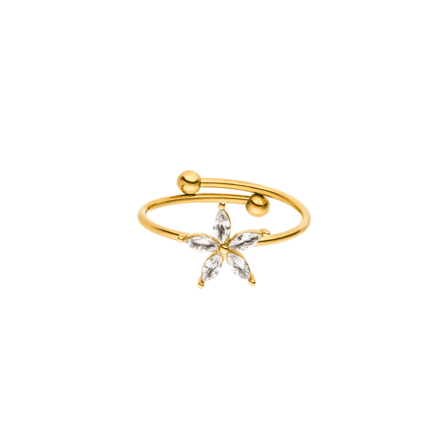 Bright Spring Ring - INT PURELEI