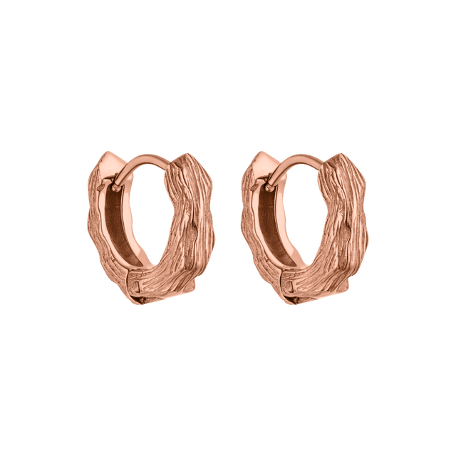 Brushed Earrings - INT PURELEI