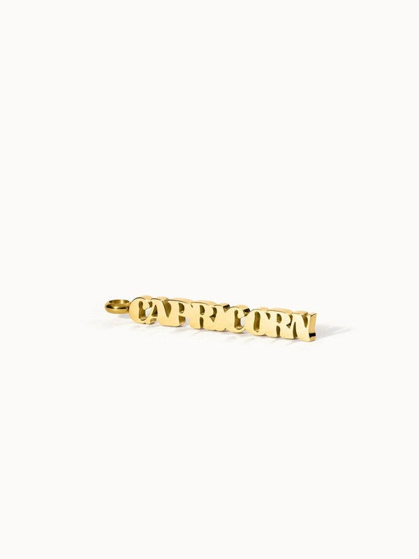 Capricorn Letter Charm - INT PURELEI