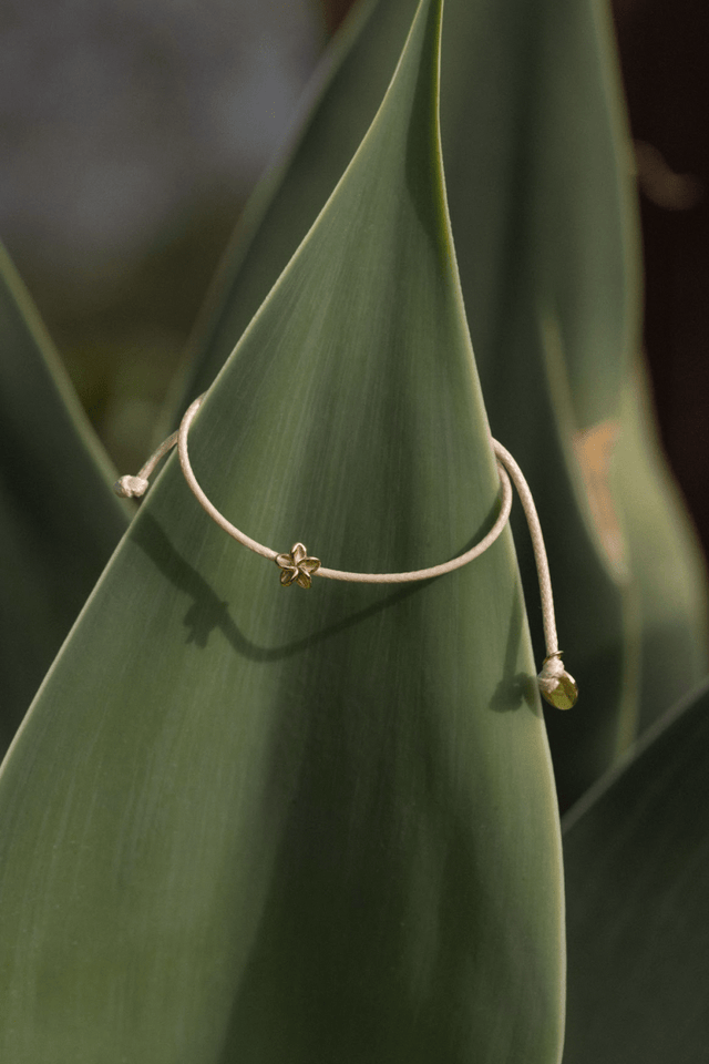 Empowher Bracelet - INT PURELEI