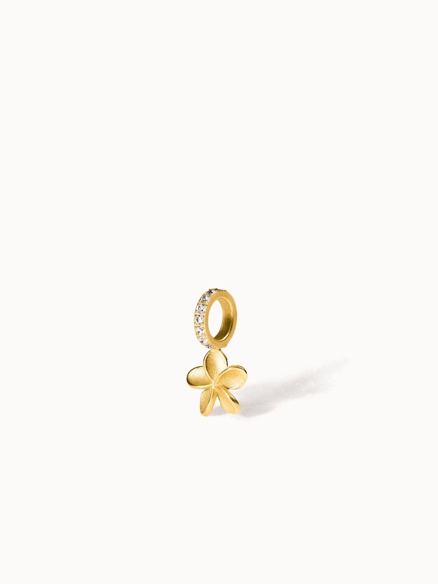 Empowher Charm - INT PURELEI