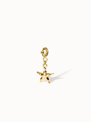 Flex Seastar Charm - INT PURELEI