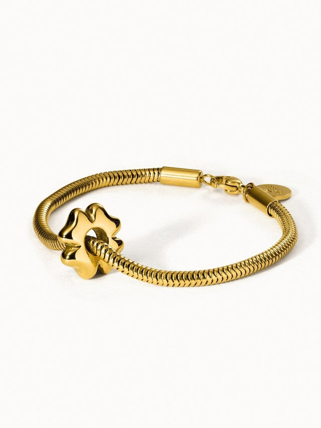 Lucky Charm Bracelet - INT PURELEI
