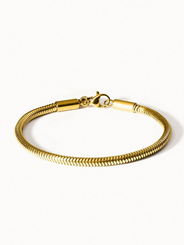 Lucky Charm Bracelet - INT PURELEI