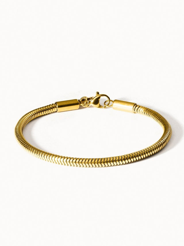 Lucky Charm Bracelet - INT PURELEI